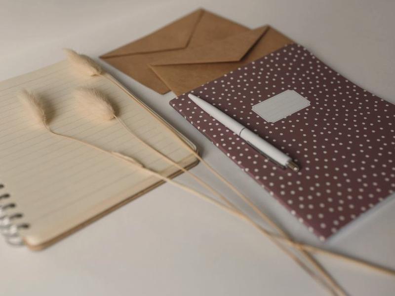 粉紅報告書